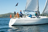 tigger 2828c whyw22 sun 800_2417yi
